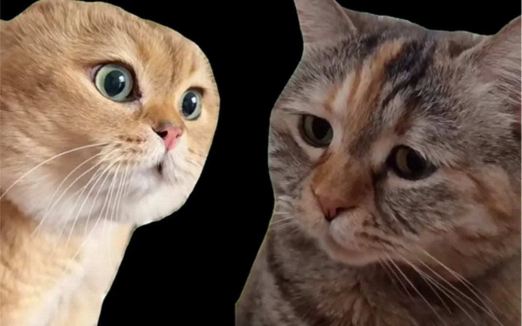 meme